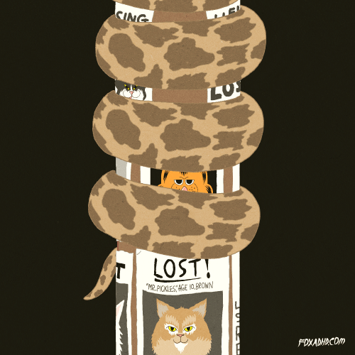 Cat Fox GIF by Animation Domination High-Def