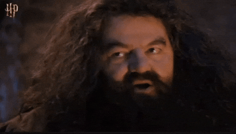 paiginglauren giphyupload veronica youre a wizard GIF