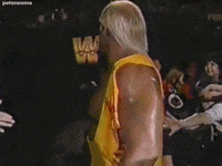 Pro Wrestling 80S GIF