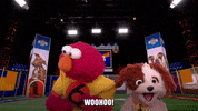 Animal Planet Puppies GIF by Puppy Bowl