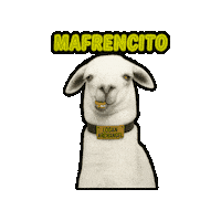 My Friend Llama Sticker