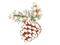 New Year Christmas Sticker