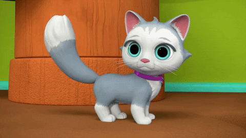 Dance Cat GIF by Moonbug