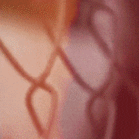 Overcome Sam Tinnesz GIF by Showdown Management