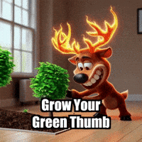 elkijahspark nature sustainable eco trending topics GIF