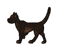 awongisright cat dancing spooky snail Sticker
