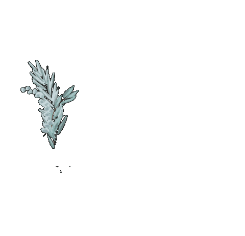 Flowers Circle Sticker