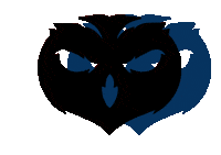owl colorfulowl Sticker by Runarchy RC