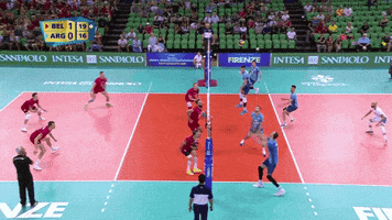 Happy Celebration GIF by Volleyball World