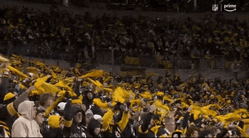 National Football League GIF by NFL