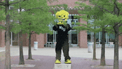 Wu_Shock fight punch wu wsu GIF