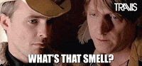 Fran Healy Reaction GIF by Travis