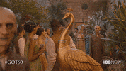 Hbo GIF by Game of Thrones