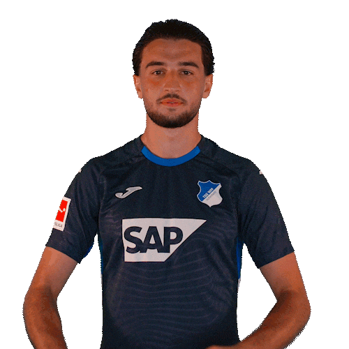 Sport Bundesliga Sticker by TSG Hoffenheim
