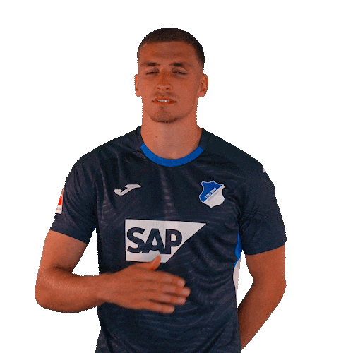 Grischa Prömel Sport Sticker by TSG Hoffenheim
