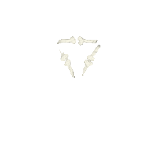 logo bones Sticker by Peter Bjorn and John