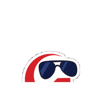 GleimAviation pilot aviation dpe gleim Sticker