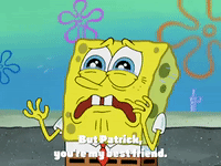 season 4 GIF by SpongeBob SquarePants