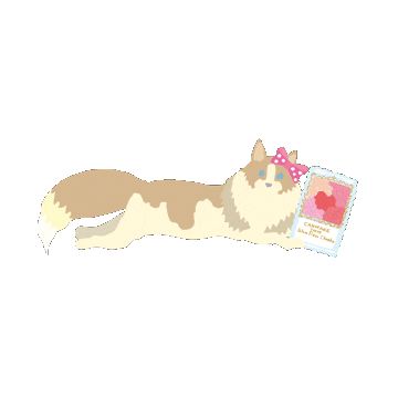 Blush Cheek Sticker by CANMAKE TOKYO
