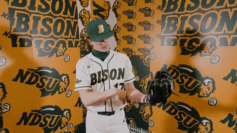 Baseball Bison GIF by NDSU Athletics