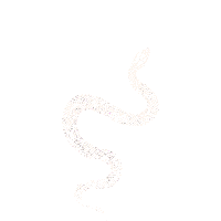 dstnctartmedia xposure dstnct art media dstnct dstnctartmedia Sticker