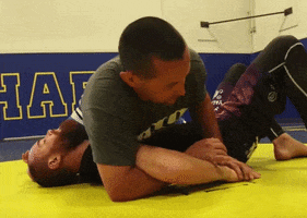 Bjj Jiu-Jitsu GIF by flograppling