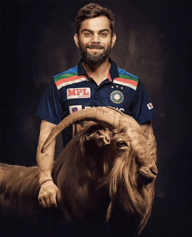 Virat Kohli Goat GIF