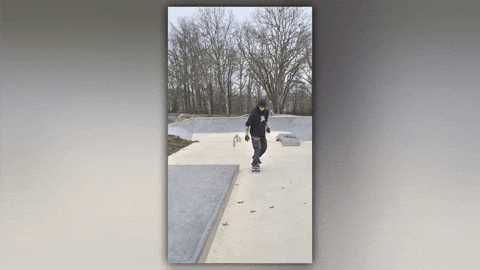 50-50 Rock GIF