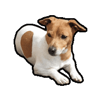 Teo Jackrussel Sticker by Stagione Arte