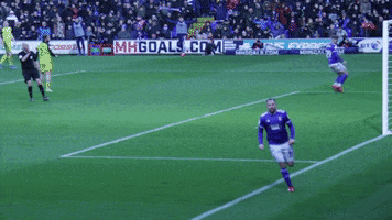 Ipswich Town Judge GIF by Ipswich Town Football Club