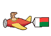 Flag Madagascar Sticker by Abstract HotDogs