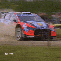 Motorsport Drifting GIF by FIA World Rally Championship