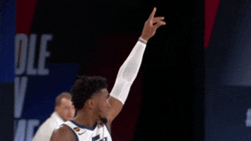 Nba Playoffs Cheer GIF by NBA