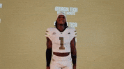 GIF by Georgia Tech Yellow Jackets