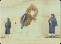 Prince George Pg GIF by IDK