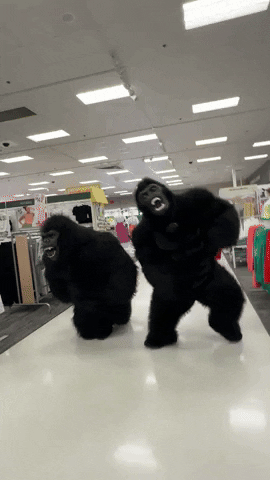 Gorilla GIF by Chubsuit