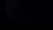 Animation Love GIF by Current Elliott