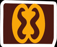 talentosaccor- accor oriaccor talentosaccor comiteracial GIF