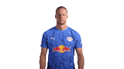 Red Bull Love Sticker by RB Leipzig