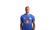 Red Bull Catch Sticker by RB Leipzig