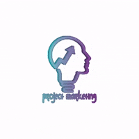 projectmarketing projectmarketing GIF