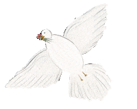 thearchivestore illustration peace dove archivestore Sticker