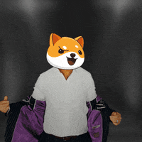 Money Crypto GIF by Baby Doge Coin
