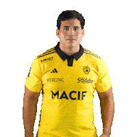 Rugby Galvan Sticker by Stade Rochelais