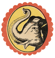 Grahamandgreen india gg elephant gandg Sticker