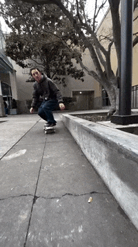 Loop Satisfying GIF by Pizza Skateboards