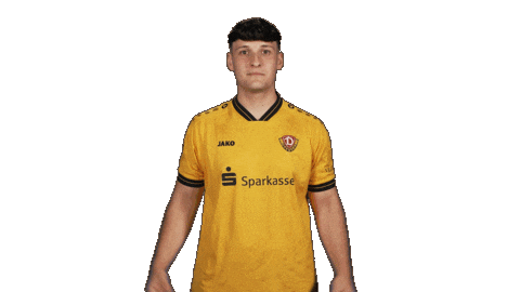 Dynamo Dresden Football Sticker by Bundesliga