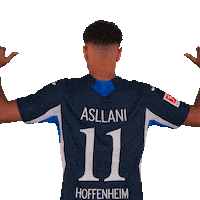 Sport Bundesliga Sticker by TSG Hoffenheim