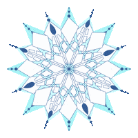 browneyedesign snow crystal fractal snowflake Sticker