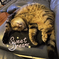 Sleepy Good Night GIF